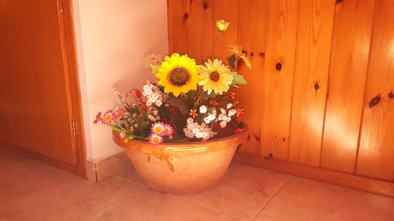 Appartement Casa Joan à Barruera Extérieur photo